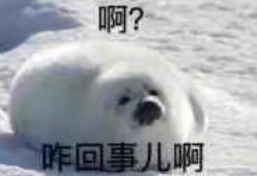 DƬ